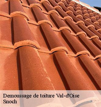 Demoussage de toiture 95 Val-d'Oise  Snoch