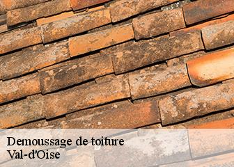 Demoussage de toiture Val-d'Oise 