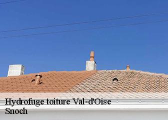 Hydrofuge toiture Val-d'Oise 