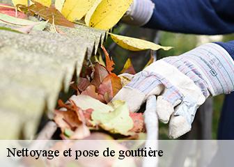 Nettoyage et pose de gouttière Val-d'Oise 