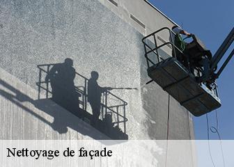 Nettoyage de façade  95450