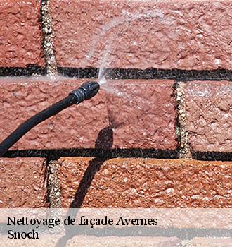 Nettoyage de façade  avernes-95450 Snoch
