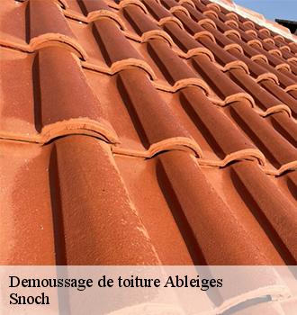 Demoussage de toiture  ableiges-95450 Snoch