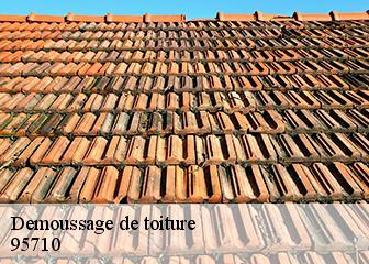 Demoussage de toiture  95710