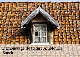 Demoussage de toiture  95710