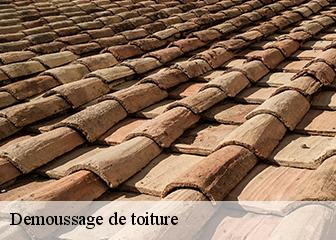 Demoussage de toiture  95710