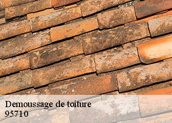 Demoussage de toiture  95710