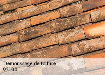 Demoussage de toiture  95100