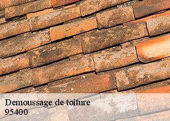 Demoussage de toiture  95400