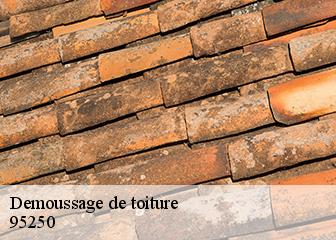 Demoussage de toiture  95250