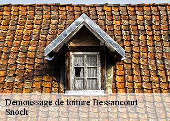 Demoussage de toiture  95550