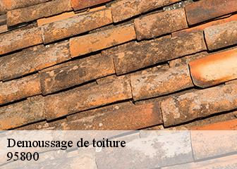 Demoussage de toiture  95800