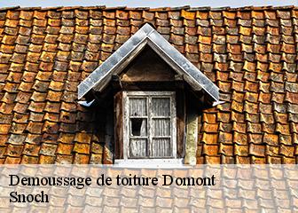 Demoussage de toiture  95330