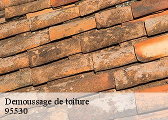 Demoussage de toiture  95530