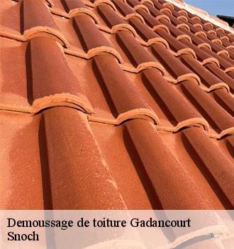 Demoussage de toiture  gadancourt-95450 Snoch