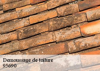 Demoussage de toiture  95690