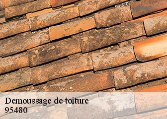 Demoussage de toiture  95480