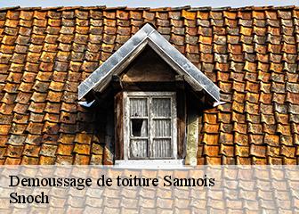 Demoussage de toiture  95110