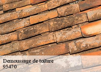 Demoussage de toiture  95470