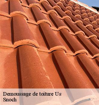 Demoussage de toiture  us-95450 Snoch