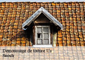 Demoussage de toiture  95450