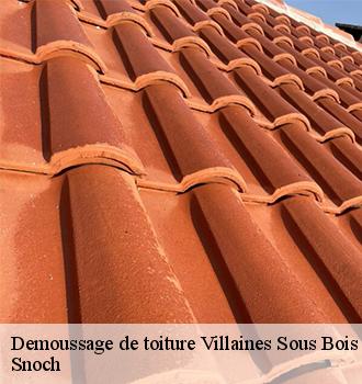 Demoussage de toiture  villaines-sous-bois-95570 Snoch