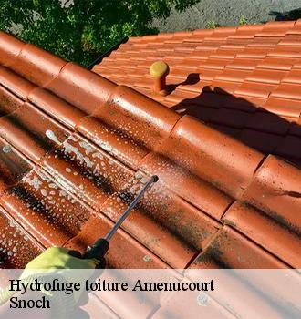 Hydrofuge toiture  amenucourt-95510 Snoch