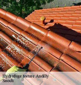 Hydrofuge toiture  andilly-95580 Snoch