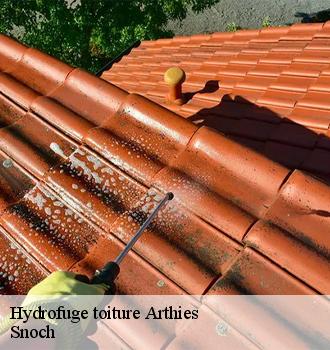 Hydrofuge toiture  arthies-95420 Snoch