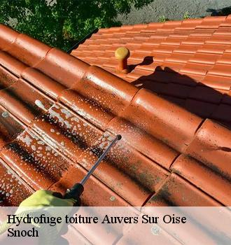 Hydrofuge toiture  auvers-sur-oise-95430 Snoch