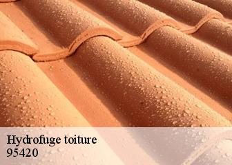 Hydrofuge toiture  95420