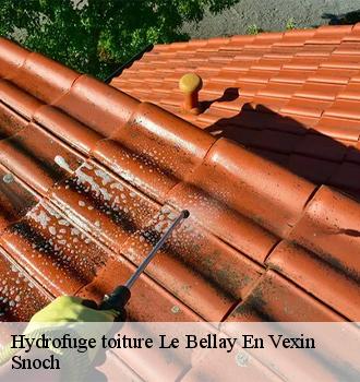 Hydrofuge toiture  le-bellay-en-vexin-95750 Snoch