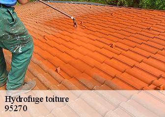 Hydrofuge toiture  95270