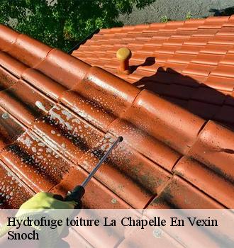 Hydrofuge toiture  la-chapelle-en-vexin-95420 Snoch