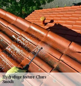 Hydrofuge toiture  chars-95750 Snoch