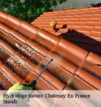 Hydrofuge toiture  chatenay-en-france-95190 Snoch