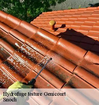 Hydrofuge toiture  genicourt-95650 Snoch