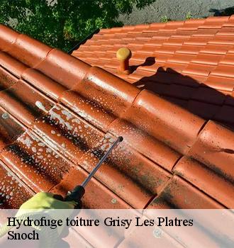 Hydrofuge toiture  grisy-les-platres-95810 Snoch