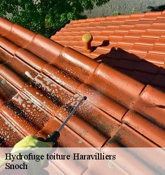 Hydrofuge toiture  haravilliers-95640 Snoch