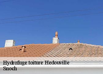 Hydrofuge toiture  95690