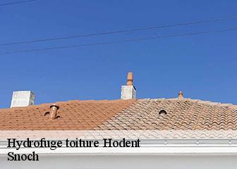 Hydrofuge toiture  95420