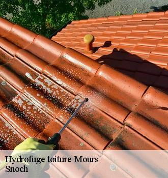 Hydrofuge toiture  mours-95260 Snoch