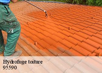 Hydrofuge toiture  95590