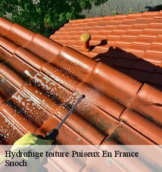 Hydrofuge toiture  puiseux-en-france-95380 Snoch