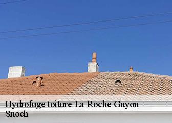 Hydrofuge toiture  95780