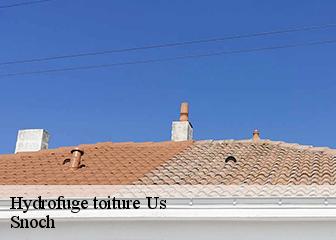 Hydrofuge toiture  95450