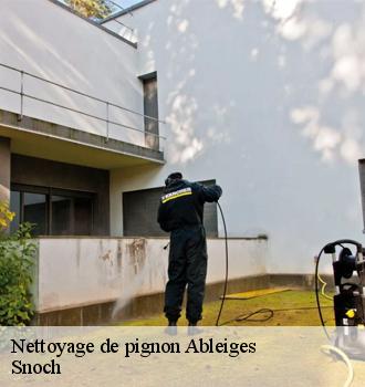 Nettoyage de pignon  ableiges-95450 Snoch