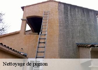 Nettoyage de pignon  95510