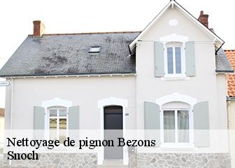 Nettoyage de pignon  95870