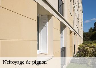 Nettoyage de pignon